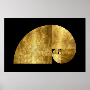 Poster Relação dourada, espiral de Fibonacci