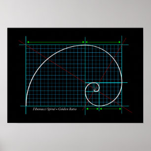Poster Relação dourada, espiral de Fibonacci, desenho d