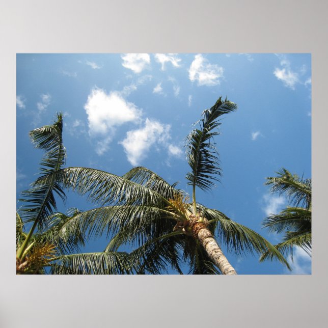 Poster Relaxamento Verdadeiro (Frente)