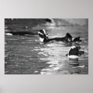 Poster Relaxante