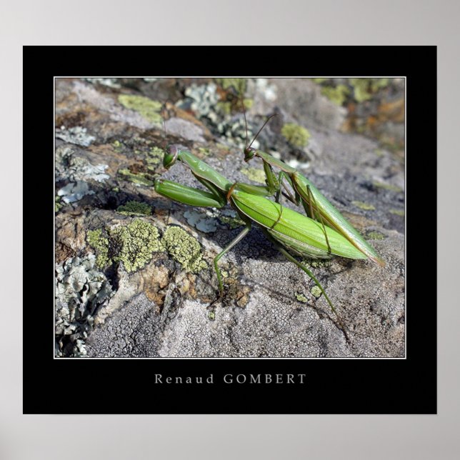 Pôster Religiões Mante (Frente)