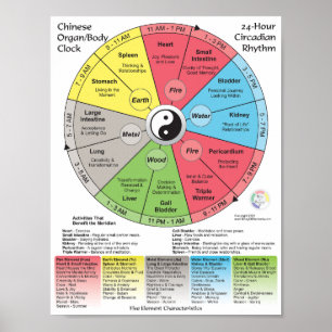 Poster Relógio Correspondente ao Meridiano de Medicina Ch