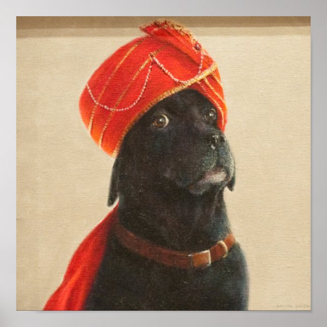 Pôster Relutante Maharaja 2010 (Frente)