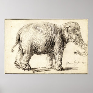 Poster Rembrandt - Elefante 1637