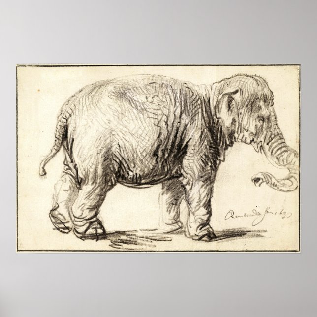 Poster Rembrandt - Elefante 1637 (Frente)