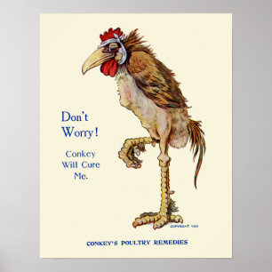 Pôster Remédios das aves domésticas de Conkeys