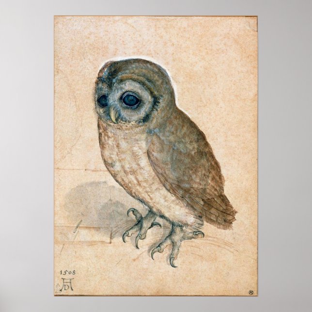 PÔSTER RENAISSANCE ANIMAL DRAWINGS / THE OWL (Frente)