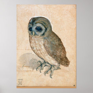 PÔSTER RENAISSANCE ANIMAL DRAWINGS / THE OWL