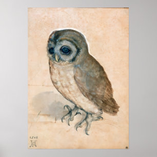 PÔSTER RENAISSANCE ANIMAL DRAWINGS / THE OWL