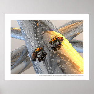 Pôster Rencontre do La - a reunião (versão dourada)