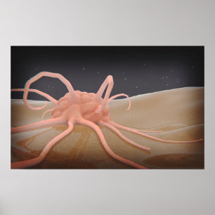 Poster rendição 3D da fagocitose do macrófago