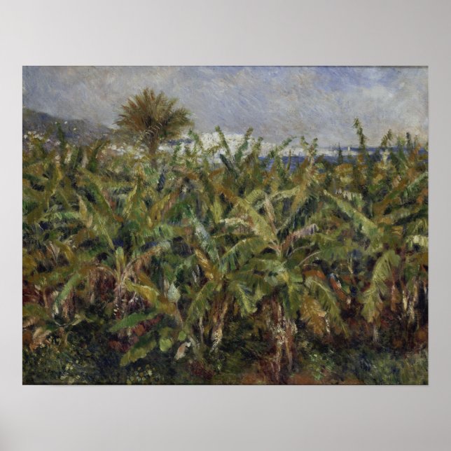 Poster Renoir - Campo De Bananeiras (Frente)