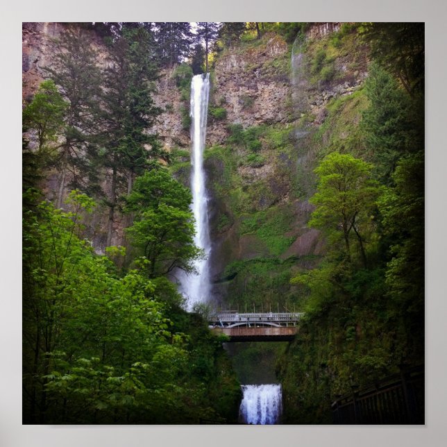 Poster Reparo de Ponte de Multnomah Cai (Frente)