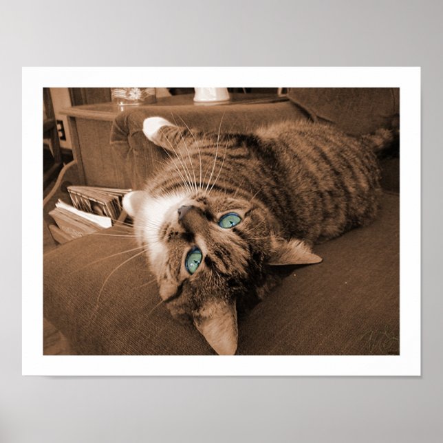 Pôster Repositar em Twill (Frente)