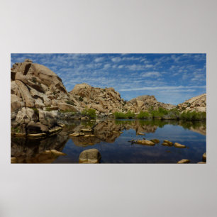 Pôster Represa Barker Reflexão em Joshua Tree I