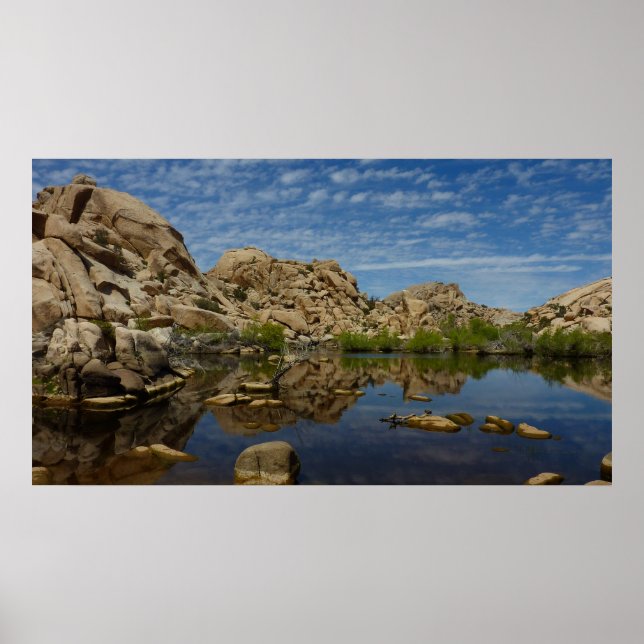 Pôster Represa Barker Reflexão em Joshua Tree I (Frente)