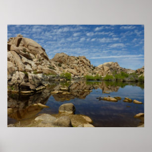 Pôster Represa Barker Reflexão em Joshua Tree I
