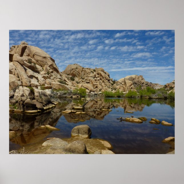 Pôster Represa Barker Reflexão em Joshua Tree I (Frente)
