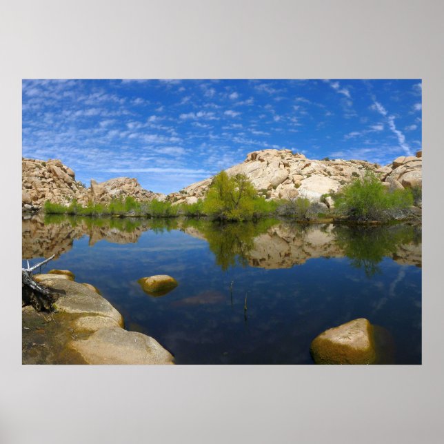 Poster Represa Barker Reflexão em Joshua Tree II (Frente)