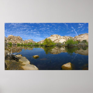 Poster Represa Barker Reflexão em Joshua Tree II