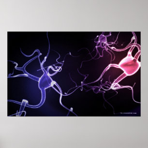 Pôster Representação colorida de neurônios