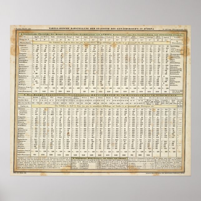 Pôster representação tabular de estatísticas (Frente)