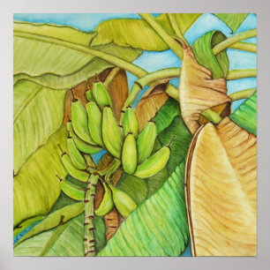 Poster reprodução da árvore de banana da pintura