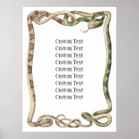 Répteis Antigos, Serpentes ou Víboras Entrelaçadas