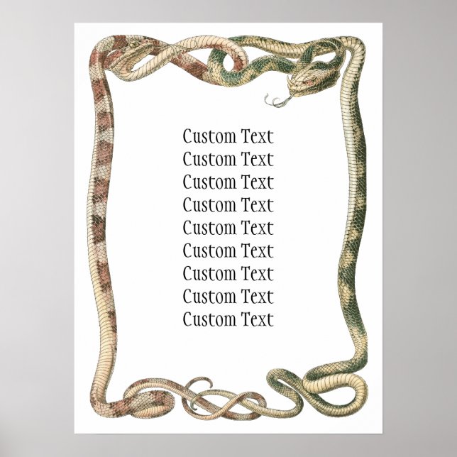 Pôster Répteis Antigos, Serpentes ou Víboras Entrelaçadas (Frente)