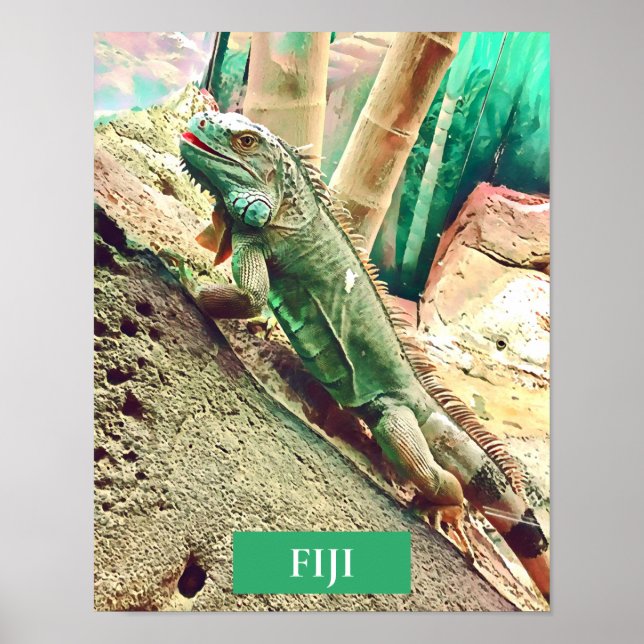 Poster réptil-lagarto Iguana (Frente)