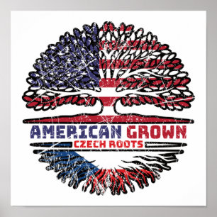 Poster República Checa República Checa EUA EUA EUA Estado