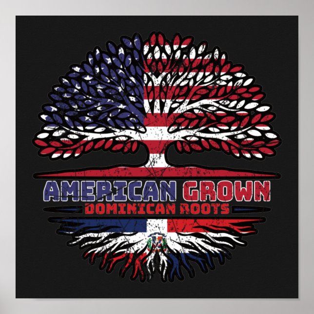 Poster República Dominicana EUA EUA Estados Unidos (Frente)
