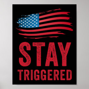 Poster Republicano Anti Liberal Fica Atriggerado Bandeira