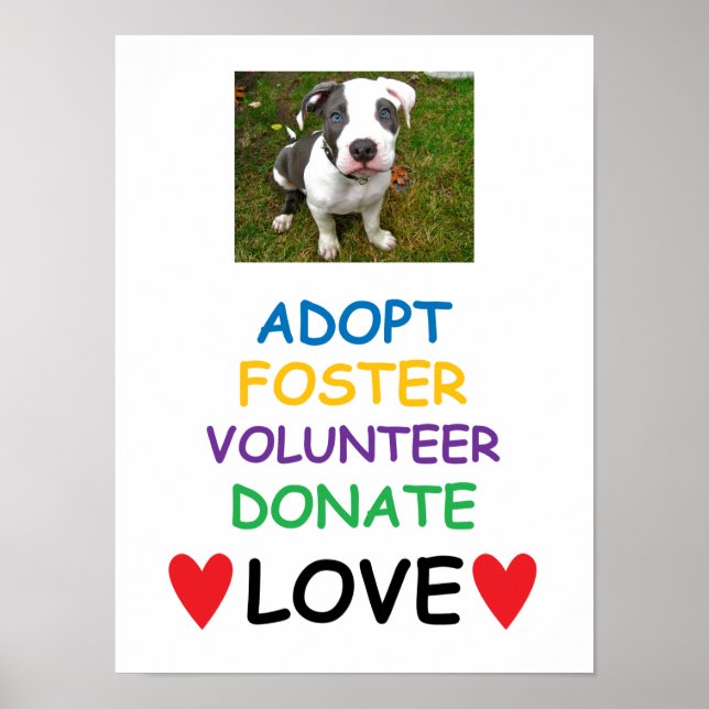 Poster Rescue Dog Poster, Adopt Love (Frente)
