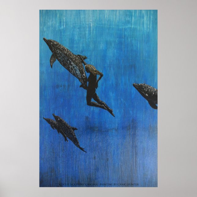 Poster Rescue dolphin's (Frente)