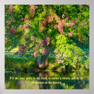 Pôster Reserva de Natureza do SkyRidge