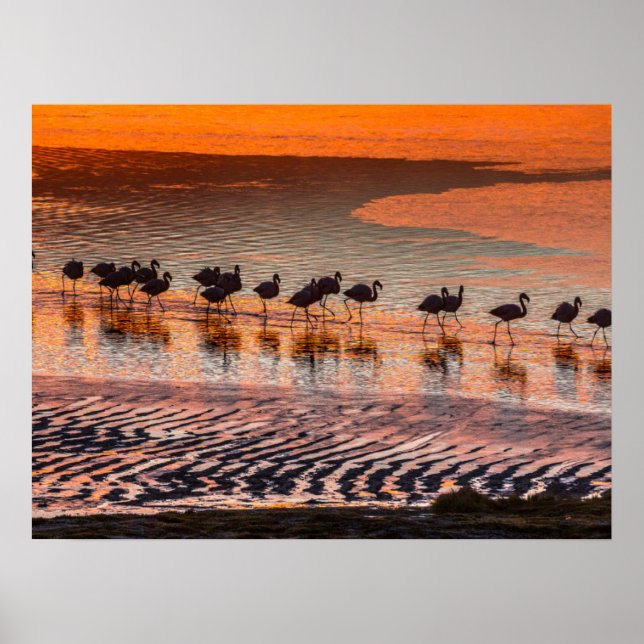 Poster Reserva Nacional da Fauna Andina Eduardo Abaroa (Frente)