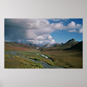 Pôster Reserva natural nacional ártica