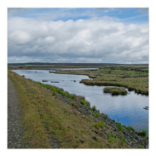 Pôster Reservatório Light Hazzles