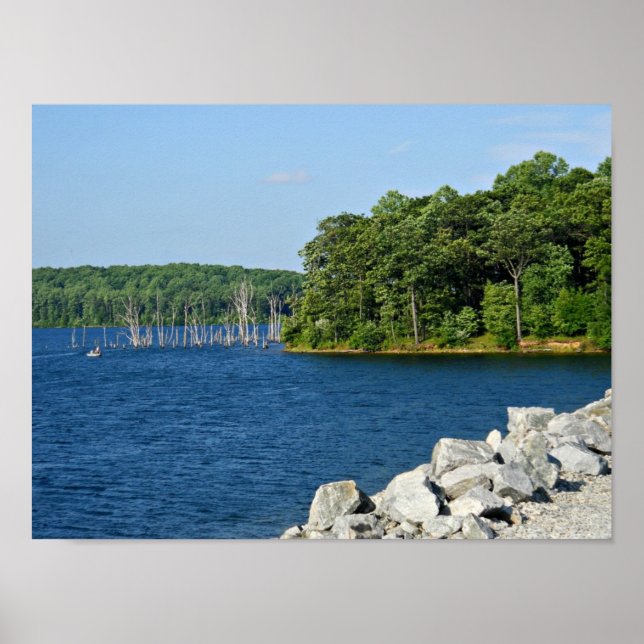 Pôster Resevoir of Relaxation (Frente)