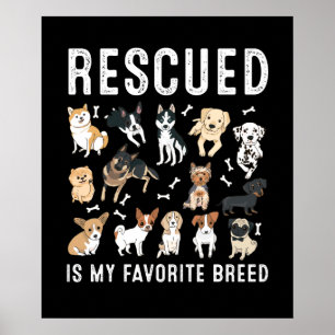 Poster Resgatado São Os Meus Cachorros De Resgate De Cor