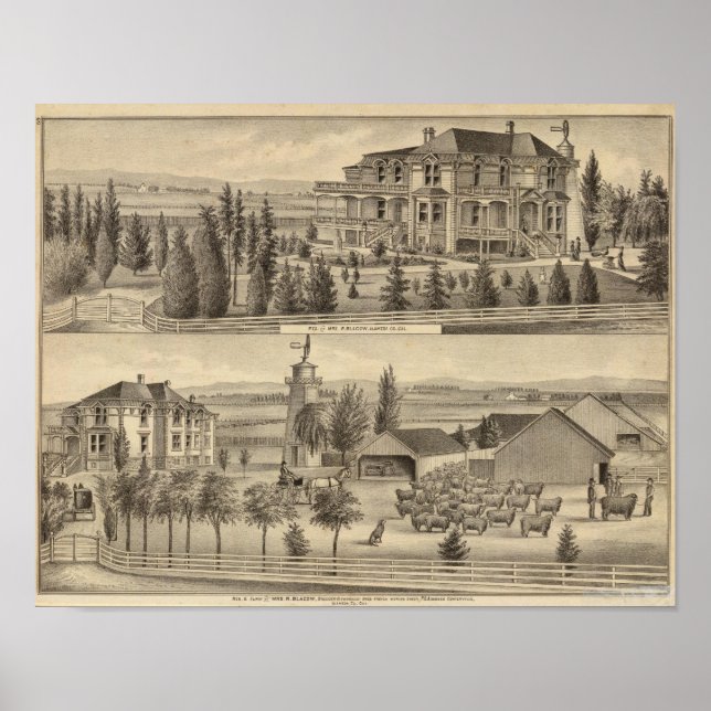 Pôster Residência negra, fazenda (Frente)