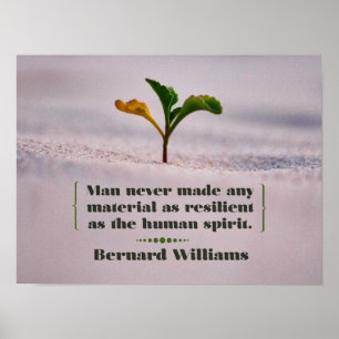 Poster Resiliente como o Espírito Humano