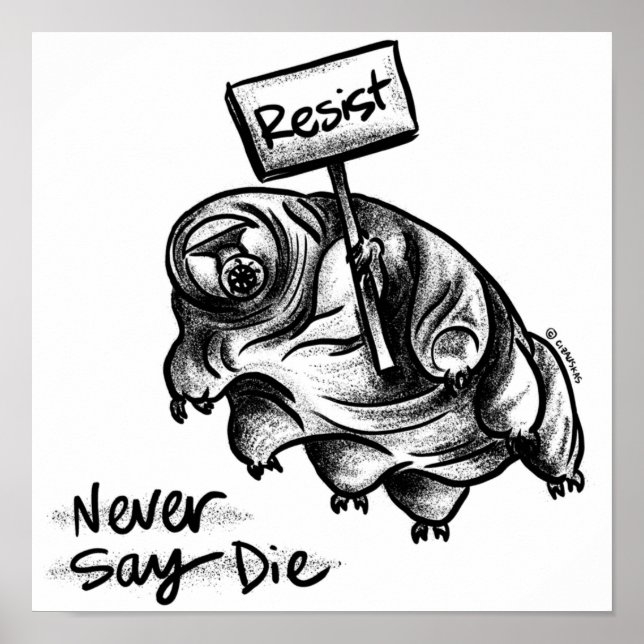 Poster Resistência Tardigrado (Frente)