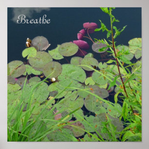 Pôster Respire
