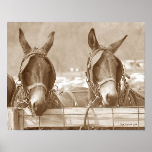 Poster Restin fácil