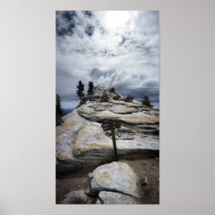 Pôster Resto das nuvens - Yosemite