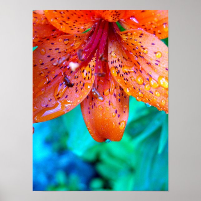 Pôster restos de chuva de verão (Frente)