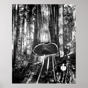 PÔSTER RETIRANDO UM GIGANTE C. 1890