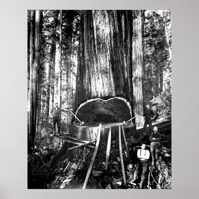 PÔSTER RETIRANDO UM GIGANTE C. 1890 (Frente)